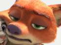 BoredFox.png