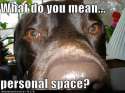 personal.space.jpg