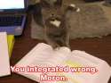 disapointedinyoucat.jpg