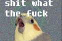 1378777993523.gif