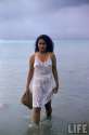 Summer samoan girl.jpg
