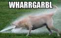 Whargarbl.jpg