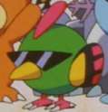 cool_bird.png