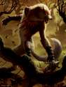 SOI_Arlinn_Embraced_by_the_Moon_Winona-Nelson.jpg