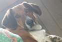 20140426_080738-1.jpg