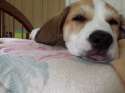 20140827_161928.jpg