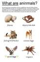 FB_IMG_1437467457588.jpg