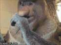 1448753817577.gif