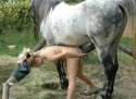 horse.jpg