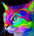 1440864719560.gif