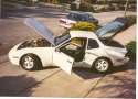 944Tspread.jpg