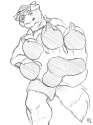 1453418343.solaxe_farmdog.png