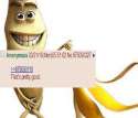 7754677867867.png