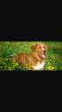 IMG-20160321-WA0034.jpg