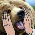 omgbear.jpg