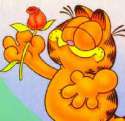 garfield.jpg