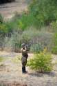 44593302-the-military-observer-the-spotter-of-fire-in-the-form-of-the-soldier-of-red-army-of-times-of-world-w[1].jpg