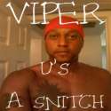 viper.jpg