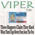 viper4.jpg