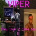 viper5.jpg