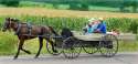 amish-topper.jpg