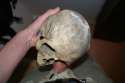 Skull Fucker.jpg