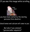 bec.jpg