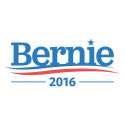 bernie 16.png