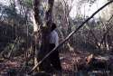 Aokigahara1.jpg