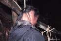 Aokigahara4.jpg