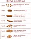 Bristol_stool_chart.jpg