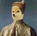 I+match+your+doge+with+doge+doge+_59cc3695836f2fdef41a20a5b545c60b.jpg