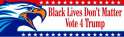 trump vote BLDM.jpg