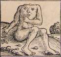 Nuremberg_chronicles_-_Strange_People_-_Headless_(XIIr).jpg