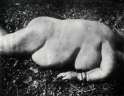 sally mann.jpg