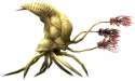 Flood infection form.jpg