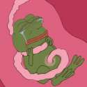 pepe 0.jpg