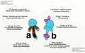 meet a and b.jpg