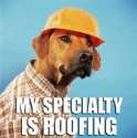 roofing.jpg