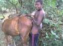 horse 1.jpg