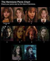 Hermione_f25f0b_2855268.jpg
