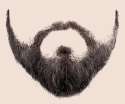beard_PNG6248.png