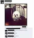 Hilarious_d1dccd_5723282.jpg