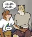 Dog Furry 134.jpg