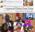 chimp.png