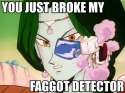 brokemydetector.jpg