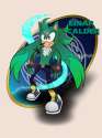 einar_the_hedgehog_by_legionvrukha-d9ryvua.png