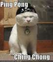 chingchong.jpg