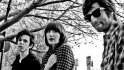 yeah-yeah-yeahs.jpg