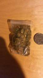 My Dank.jpg